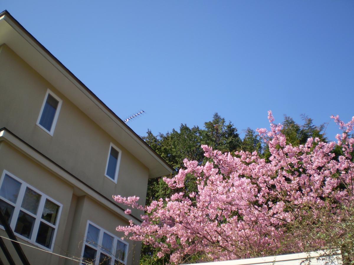 Chiisana Hotel Hanaikada Ito  Exteriér fotografie
